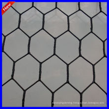 DM stainless steel hexagonal wire netting